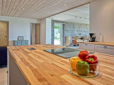 Holiday house Panoramisches Refugium in Svaneke -- By Traum Ferienwohnungen - Outdoor photo 13