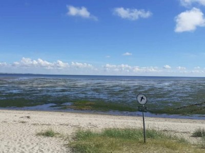 Apartment 5 Personen Ferienhaus in Rømø-By Traum - Outdoor photo 54