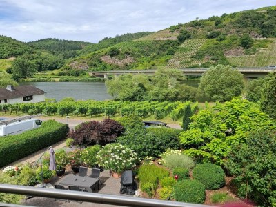 Apartment Ferienwohnung Moselblick - Outdoor photo 7