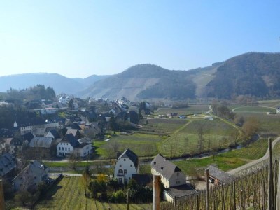 Apartment Ferienwohnung Moselblick - Environment photo 34
