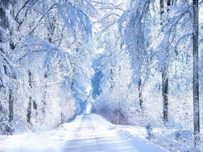 Apartment Bold & Chic Stay, Altshausen - Environment photo 18