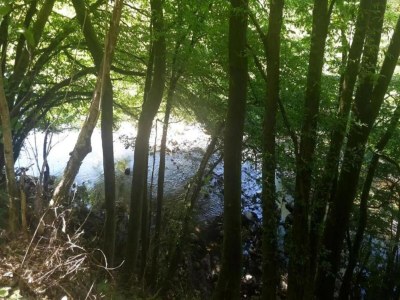 Apartment Bold & Chic Stay, Altshausen - Environment photo 24