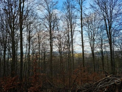 Apartment Bold & Chic Stay, Altshausen - Environment photo 27