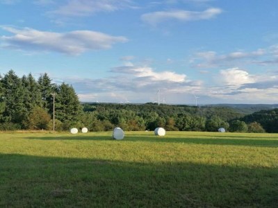 Apartment Bold & Chic Stay, Altshausen - Environment photo 29