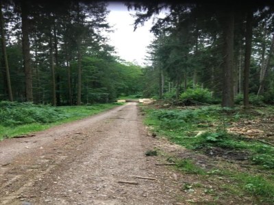 Apartment Bold & Chic Stay, Altshausen - Environment photo 30