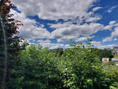 Apartment Peaceful Stay in Winterberg - Environment photo 33