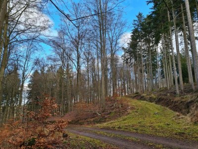 Apartment Stilvoll übernachten in Sonneberg - Environment photo 31
