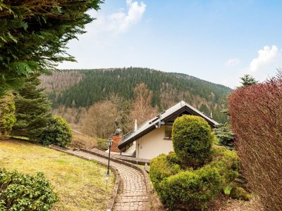 Holiday house Panoramic Retreat in Thuringia - Outdoor photo 8
