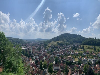 Holiday house Panoramic Retreat in Thuringia - Outdoor photo 39