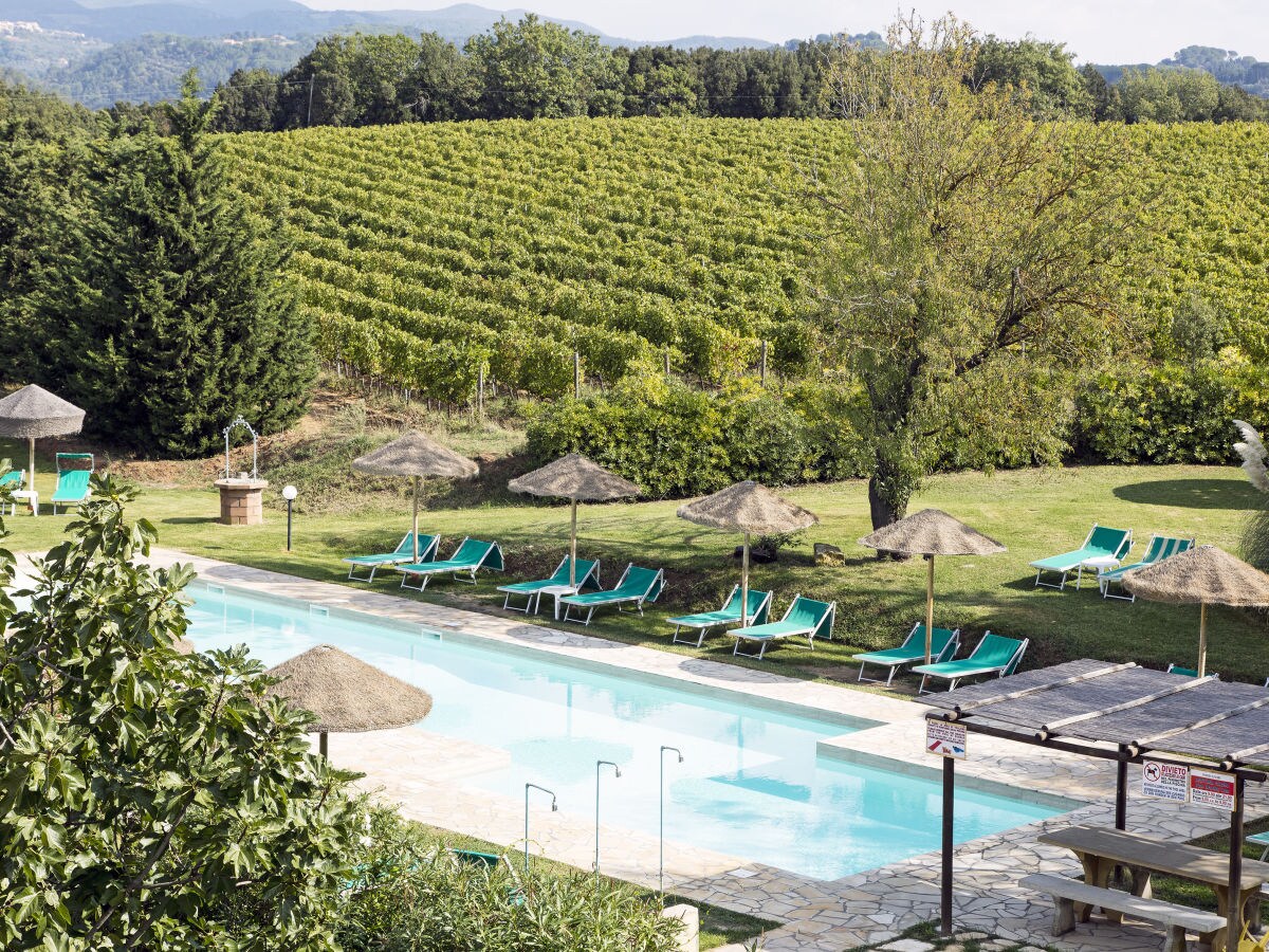 Farmhouse Apartment with pool, Etruscan Coast - Outdoor photo 2