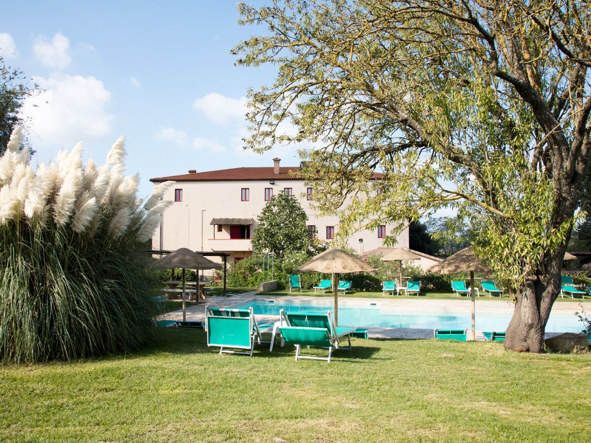 Farmhouse Apartment with pool, Etruscan Coast - Outdoor photo 3