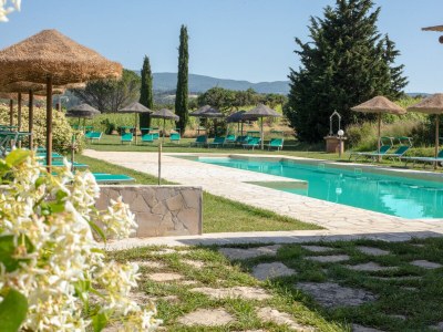 Farmhouse Apartment with pool, Etruscan Coast - Outdoor photo 8