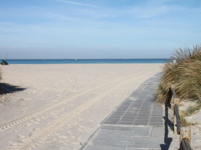 Farmhouse Apartment with pool, Etruscan Coast - Environment photo 16