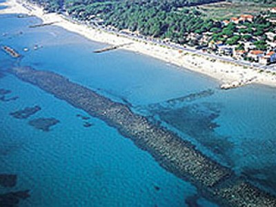 Farmhouse Apartment with pool, Etruscan Coast - Environment photo 17