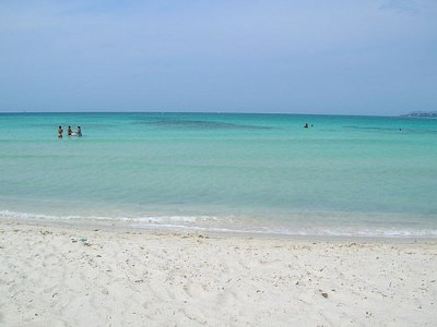 Farmhouse Apartment with pool, Etruscan Coast - Environment photo 21