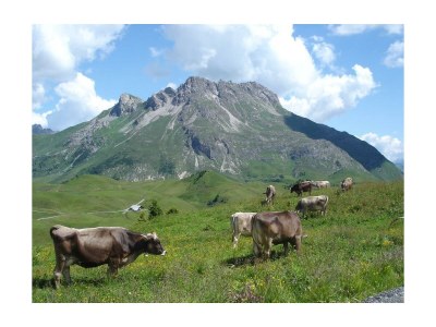 Apartment Appartement 1 Schlafraum, 1 Wohn-/Schlafraum - Outdoor photo 15