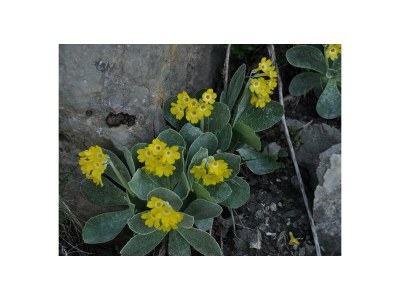 Apartment Appartement 1 Schlafraum, 1 Wohn-/Schlafraum - Outdoor photo 17