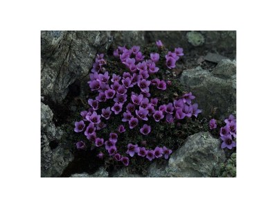 Apartment Appartement 1 Schlafraum, 1 Wohn-/Schlafraum - Outdoor photo 28