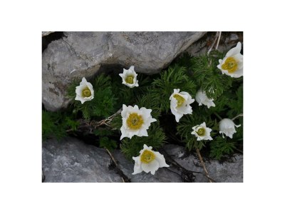 Apartment Appartement 1 Schlafraum, 1 Wohn-/Schlafraum - Outdoor photo 29