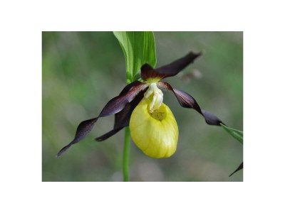 Apartment Appartement 1 Schlafraum, 1 Wohn-/Schlafraum - Outdoor photo 34