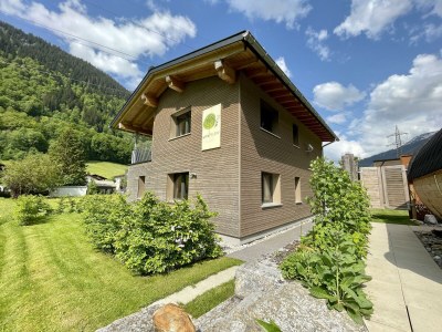 Apartment Chalet Pecker - Outdoor photo 30