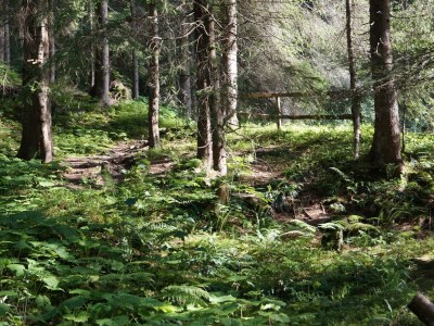 Apartment Chalet Pecker - Outdoor photo 38