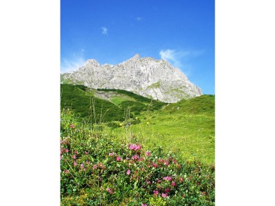 Apartment Top 9 mit 2 Schlafräumen mit Balkon - Outdoor photo 67