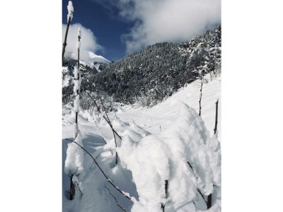 Apartment Appartement/Fewo, Dusche, WC - Outdoor photo 14