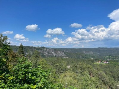 Apartment Ruhige Gartenwohnung in Dresden - Environment photo 28