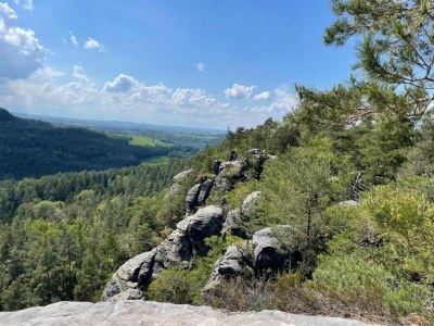 Apartment Ruhige Gartenwohnung in Dresden - Environment photo 29