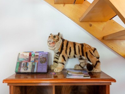 Apartment Ruhige Gartenwohnung in Dresden - Outdoor photo 35