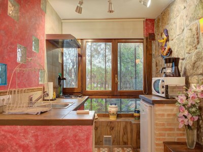 Holiday house Wohnung in Galapagar mit Spa und Bergblick - Features photo 19