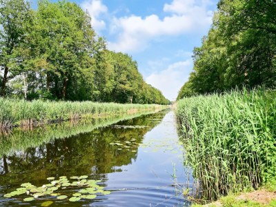 Holiday house Haus in Reutum mit Jacuzzi & Waldblick - Environment photo 31