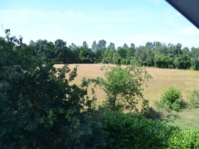 Holiday house Haus in Reutum mit Jacuzzi & Waldblick - Environment photo 32