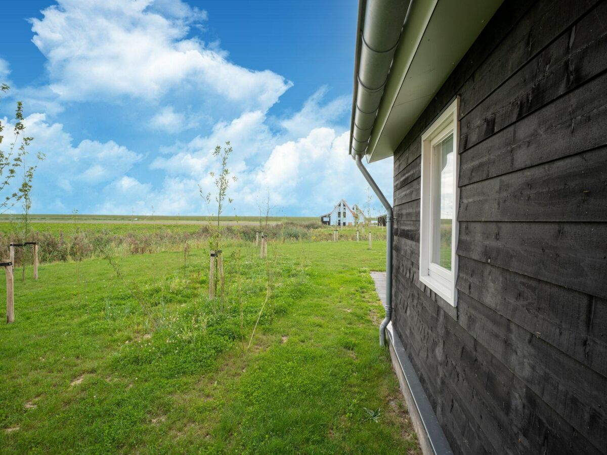 Holiday house Ferienhaus bei Naturschutzgebiet Scherpenisse - Outdoor photo 3