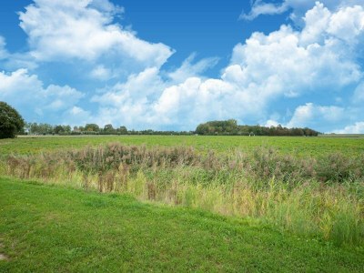 Holiday house Ferienhaus bei Naturschutzgebiet Scherpenisse - Environment photo 36