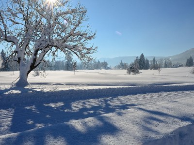 Cottage Schöb-Fritz - Environment photo 14