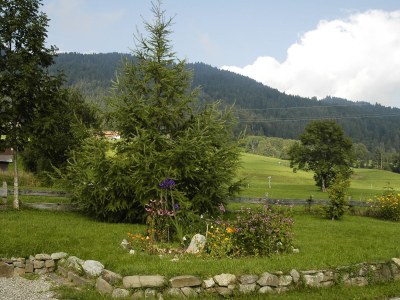 Cottage Schöb-Fritz - Environment photo 15