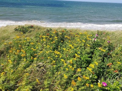 Holiday house 5 Personen Ferienhaus in Græsted - Outdoor photo 15