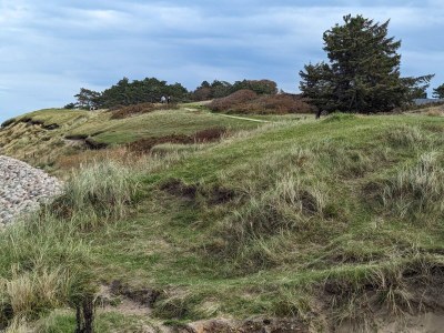 Holiday house 5 Personen Ferienhaus in Græsted - Outdoor photo 35