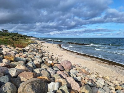 Holiday house 5 Personen Ferienhaus in Græsted - Outdoor photo 36