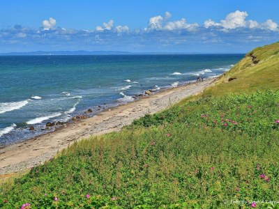 Holiday house 5 Personen Ferienhaus in Græsted - Outdoor photo 37