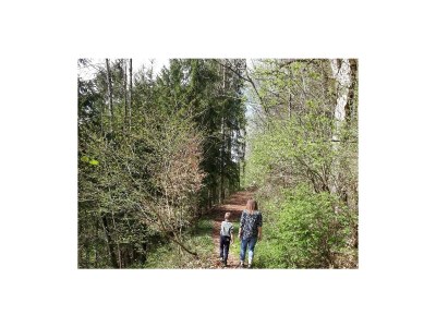 Holiday apartment Hangspitze - Environment photo 25