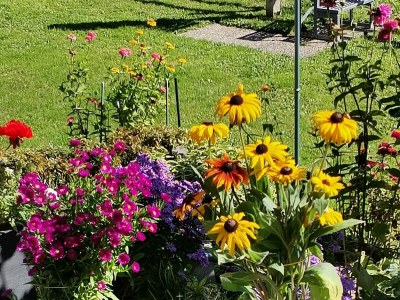 Holiday apartment Hangspitze - Environment photo 28