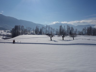 Holiday apartment Hangspitze - Environment photo 34