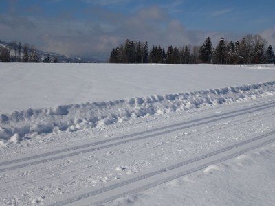 Holiday apartment Hangspitze - Environment photo 35