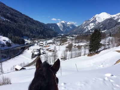 Apartment Ferienwohnung - Outdoor photo 3