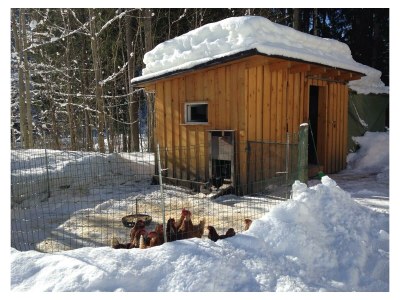 Apartment Ferienwohnung - Outdoor photo 6