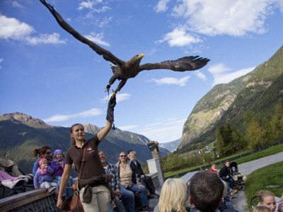 Holiday apartment Stuiben Apartment II - Environment photo 16