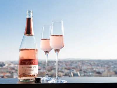 Apartment Skyflats Vienna East View - Features photo 12